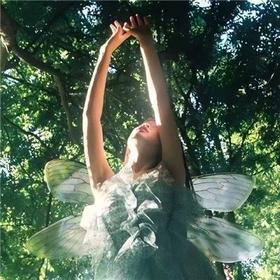 新：行至爱意消散处